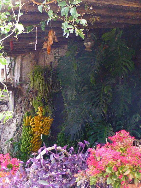 Hotel Rural El Navio - Adults Only Alcala  Exterior photo